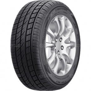 Fortune  FSR 301