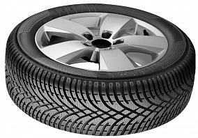 BFGoodrich G-Force Winter-2 205/65/15 94T